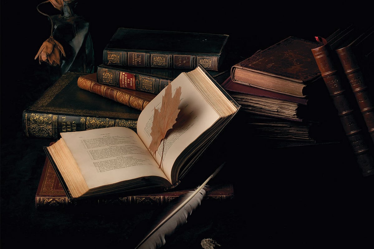 Judge a book by its lover