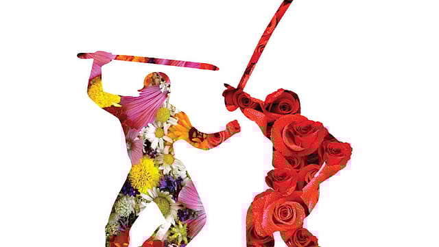 War of Roses War of Roses