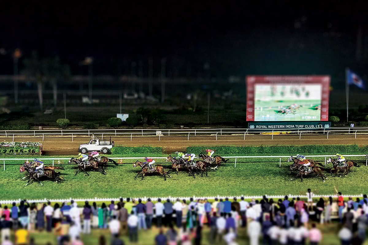 As the night gallops in