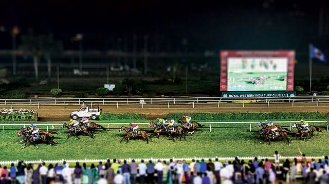 As the night gallops in As the night gallops in