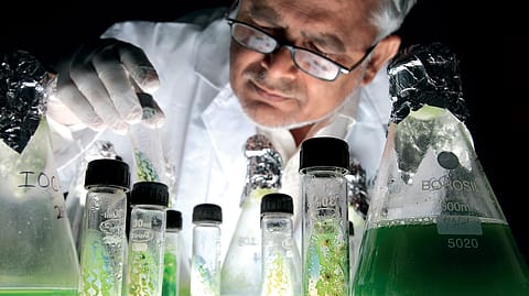 Lab culture: Indian Oil’s biotech lab, which focusses on biofuels.