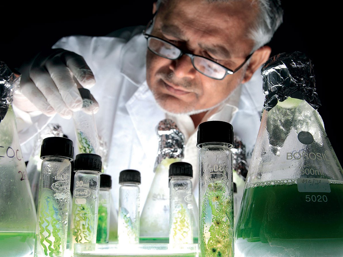 Lab culture: Indian Oil’s biotech lab, which focusses on biofuels.
