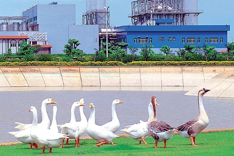 The way to share power 