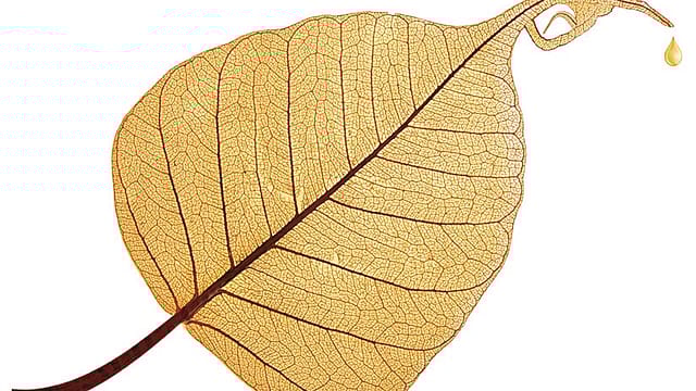 Praj: Farm waste to ethanol Praj: Farm waste to ethanol