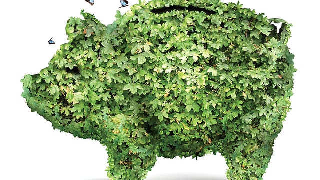 The purse of nature The purse of nature