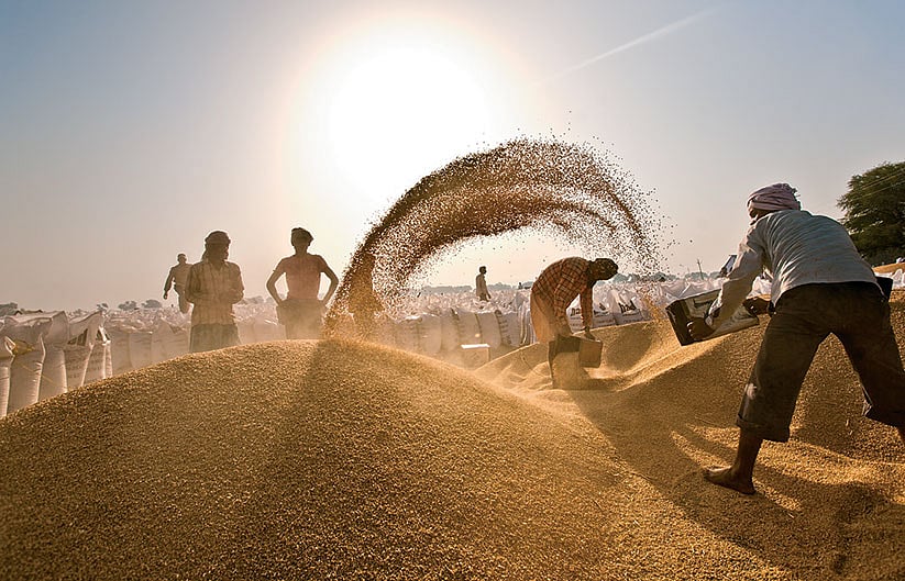 Govt approves ₹1 lakh cr food grain storage scheme