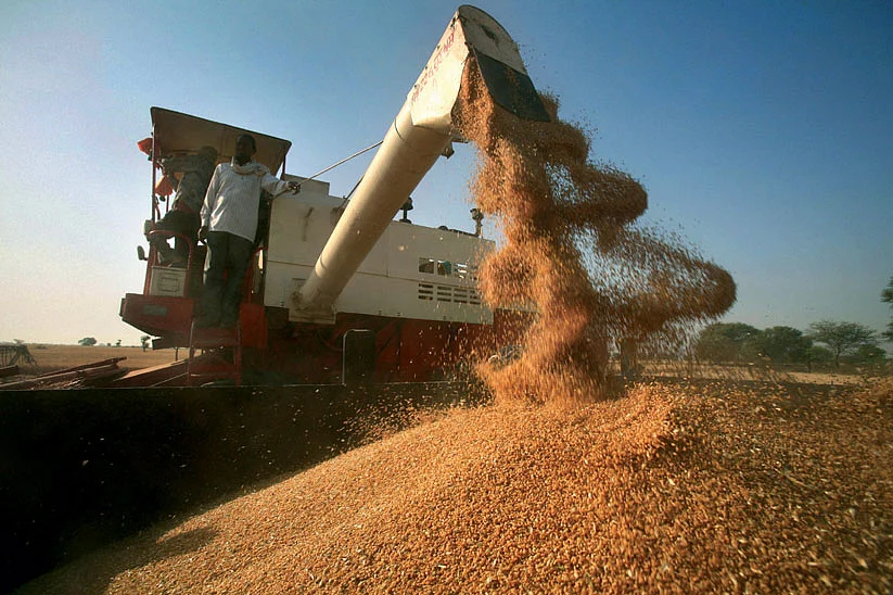 COP29 rightly highlighted Climate-Smart Agriculture (CSA) as a transformative approach to addressing these issues. 