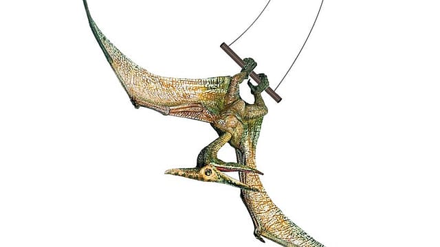 How did they do it? How did they do it?