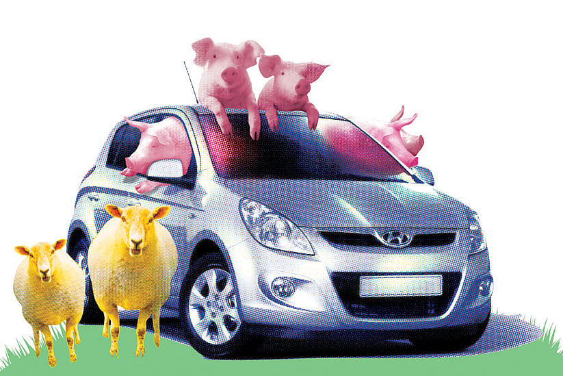 Stock options for Hyundai