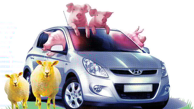 Stock options for Hyundai Stock options for Hyundai