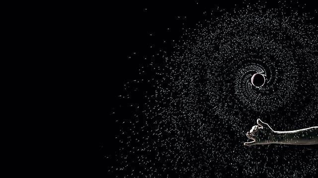 Move of the year: the spin Move of the year: the spin