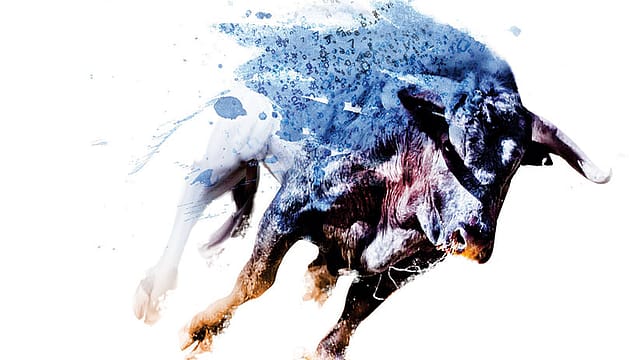 Bulls re-enter markets after exit polls point to NDA win Bulls re-enter markets after exit polls point to NDA win