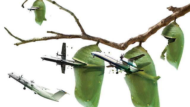 Dogfight for middle India Dogfight for middle India