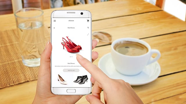 The big fat online shopping frenzy The big fat online shopping frenzy