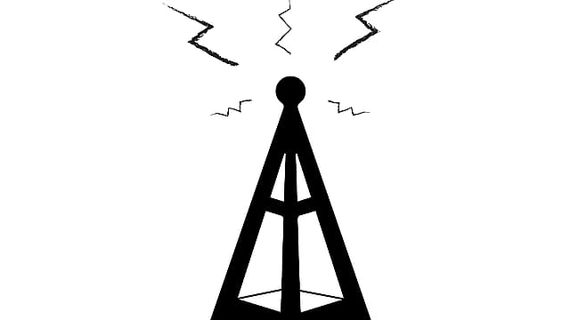 The cost of smarts The cost of smarts