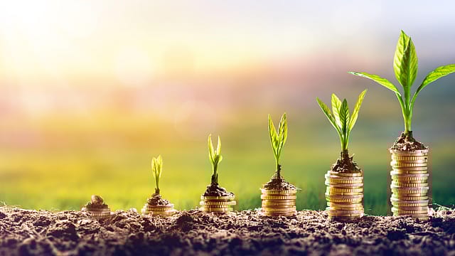 Matrix Partners India backs chatbot developer Anaek Matrix Partners India backs chatbot developer Anaek