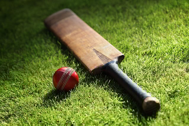What ho! What can captains of industry learn from cricket?