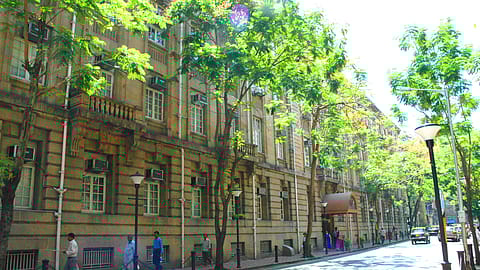 Fortune India Archives 