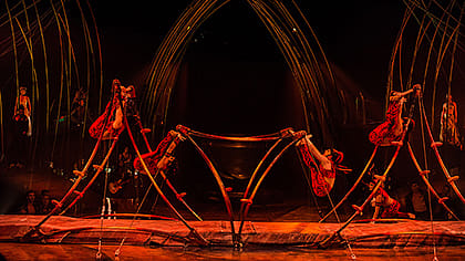 The return of the circus The return of the circus