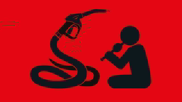 The federal structure of fuel prices The federal structure of fuel prices