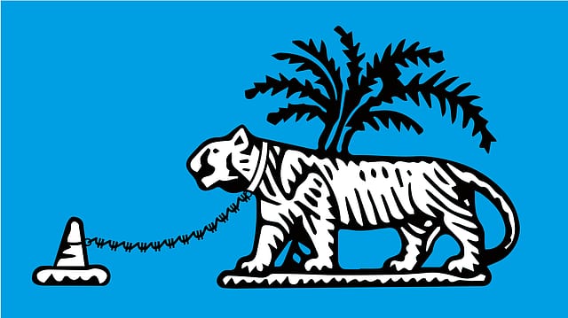 RBI’s rupee dilemma RBI’s rupee dilemma