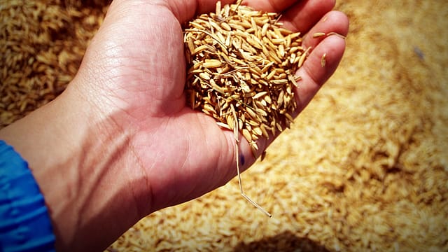 Mahindra Agri Solutions-Sumitomo JV bets big on crop care Mahindra Agri Solutions-Sumitomo JV bets big on crop care