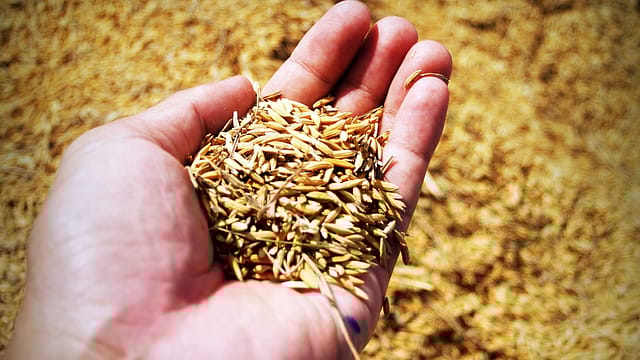 Who wants economic freedom in India? Who wants economic freedom in India?