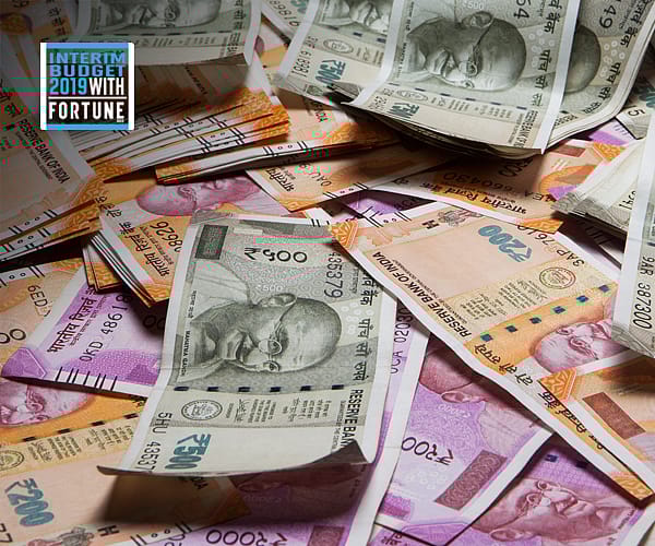 Interim Budget 2019: Meeting the disinvestment target