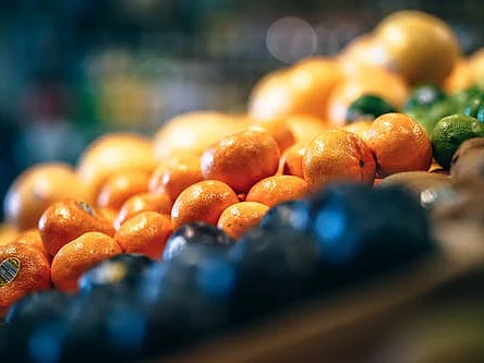 Fancycrave.com from Pexels