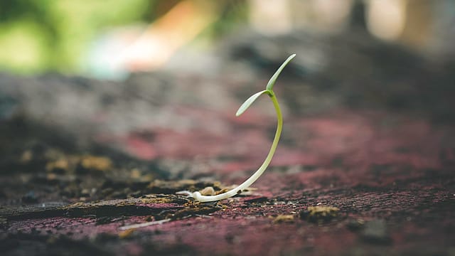 For Indian startups, it’s #ApnaTimeAagaya