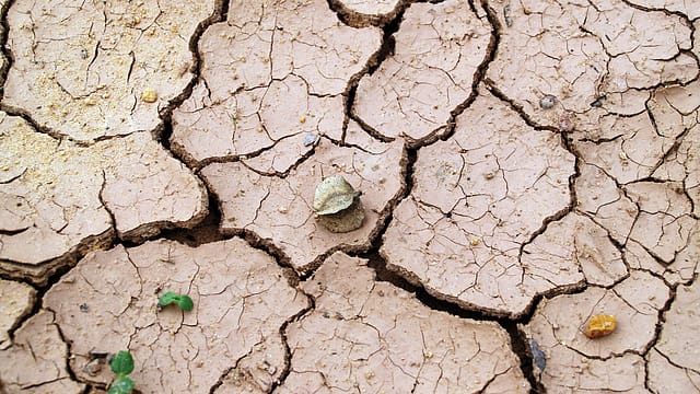 Not war, but climate change might devastate South Asia Not war, but climate change might devastate South Asia