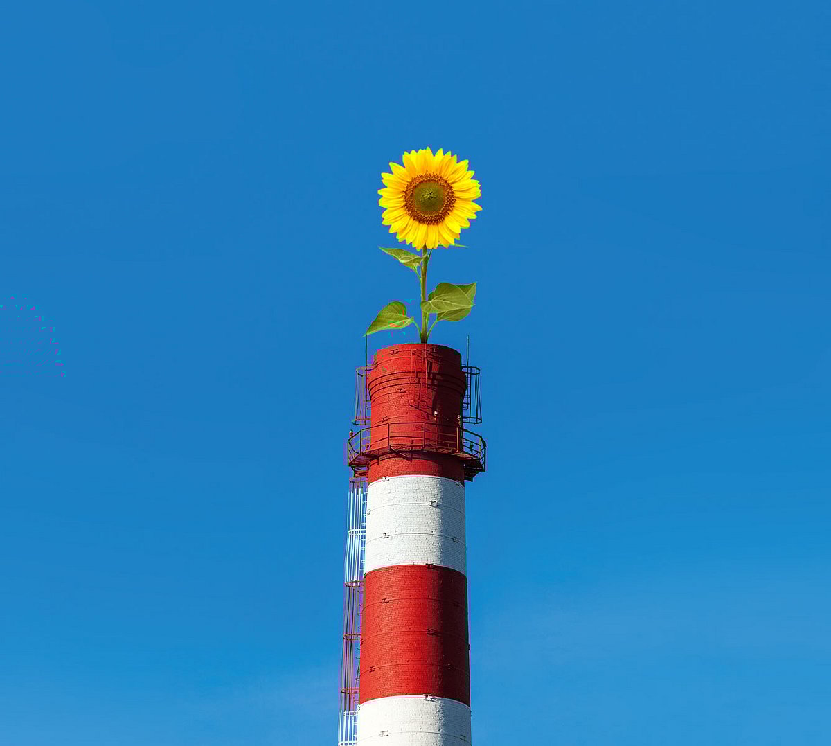 How India Inc is cleaning up its act