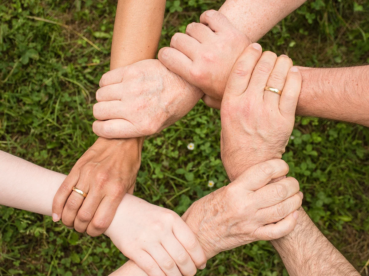 <a href="https://www.pexels.com/@pixabay?utm_content=attributionCopyText&amp;utm_medium=referral&amp;utm_source=pexels">Pixabay </a>from <a href="https://www.pexels.com/photo/ground-group-growth-hands-461049/?utm_content=attributionCopyText&amp;utm_medium=referral&amp;utm_source=pexels">Pexels</a>