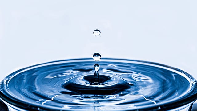 Water crisis: Waste not, want not Water crisis: Waste not, want not