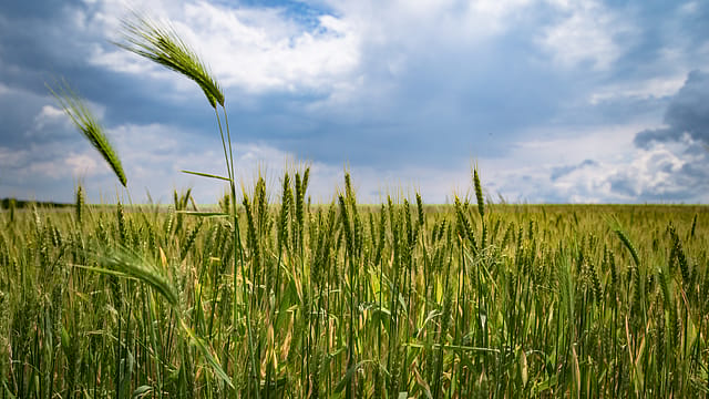Aarti Ind signs ₹3,000 crore contract with a global agrochem; share rises 2.5% Aarti Ind signs ₹3,000 crore contract with a global agrochem; share rises 2.5%