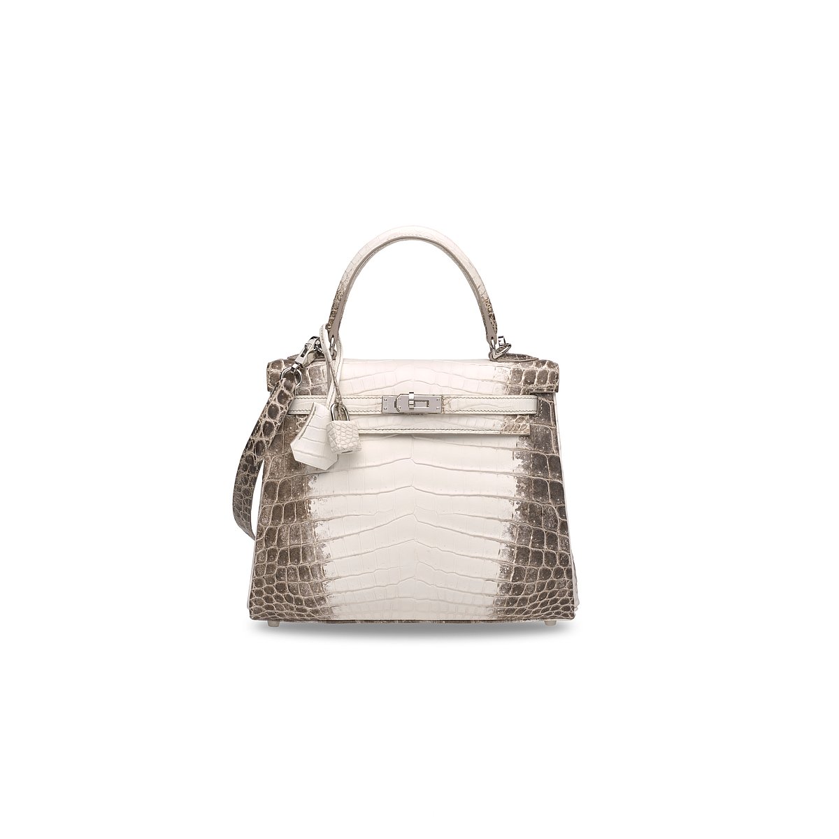 Rare Birkin bag goes for record price in Hong Kong