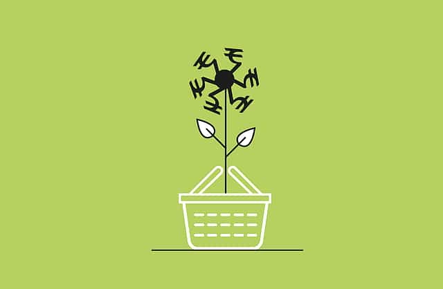 India Inc’s growing appetite for dotcoms 
