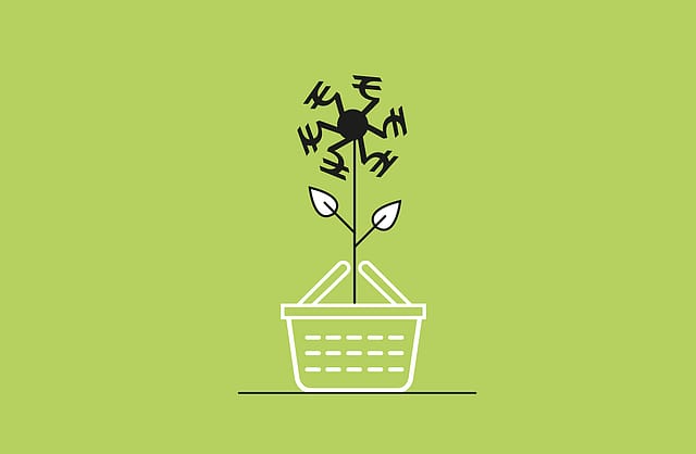 India Inc’s growing appetite for dotcoms 
