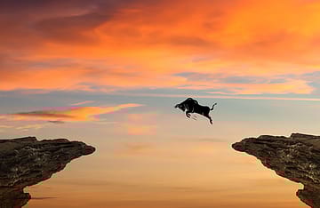 Covid-19’s second wave stings equity markets