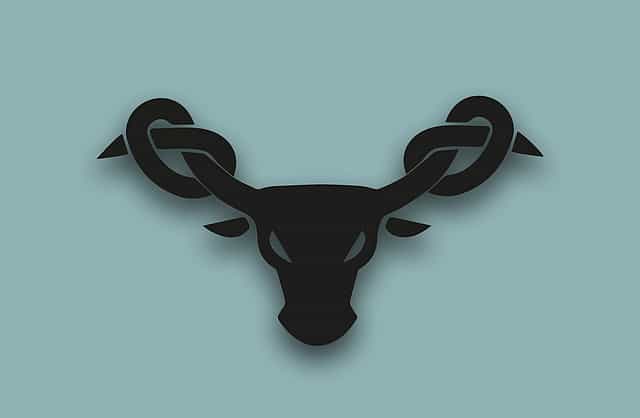 Eco Survey fails to lift market spirits