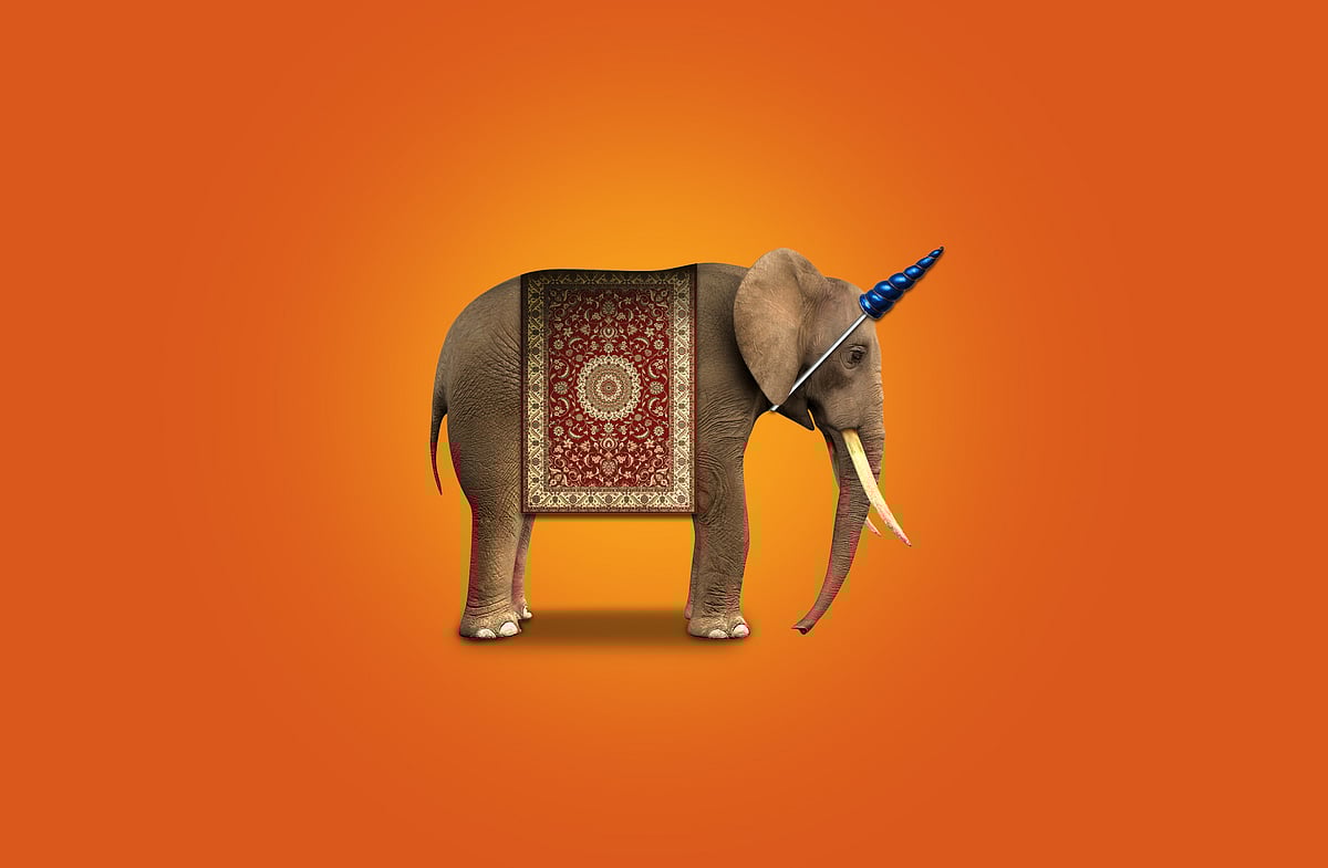 The year of the unicorns