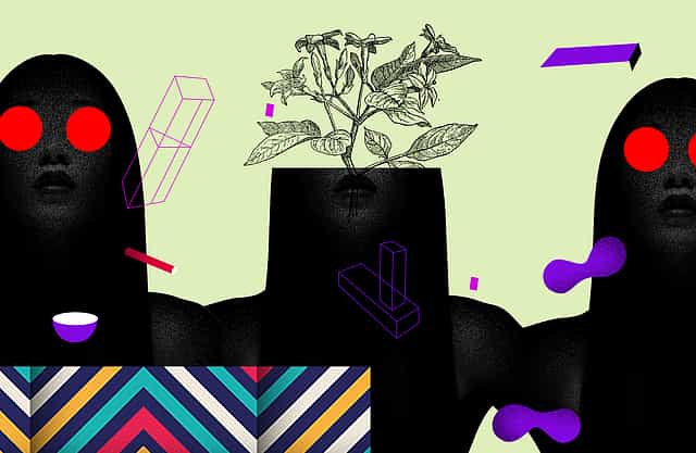 New heirlooms: A reflection of sustainability