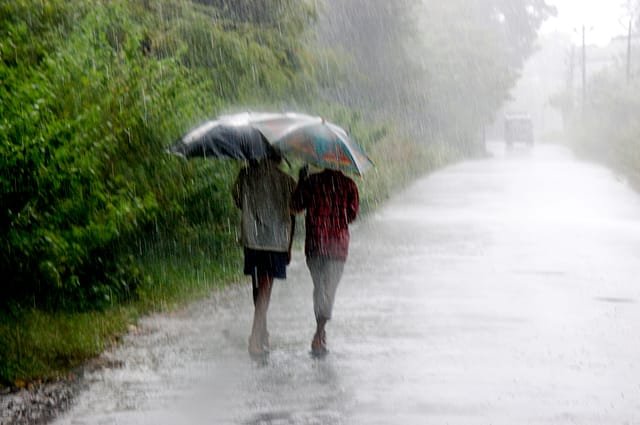 Why everybody loves a good monsoon