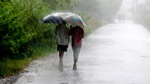 Delhi, Punjab, Haryana, Himachal, Uttarakhand and UP are likely to receive heavy to very heavy rain on August 1, 2024.