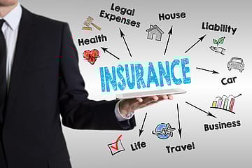 The resilience of the insurance industry