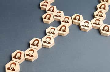 Structure teams for customer focus