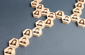Structure teams for customer focus