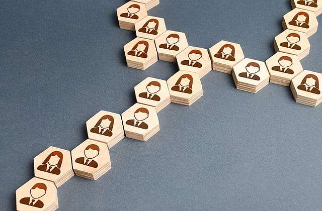 Structure teams for customer focus