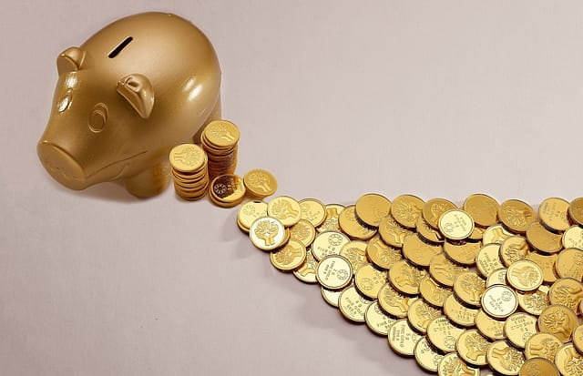 Why it is important for entrepreneurs to invest in a safe asset like digital gold