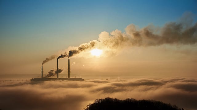 Delhi ranked most polluted capital city globally for 4th consecutive year: IQAir Delhi ranked most polluted capital city globally for 4th consecutive year: IQAir